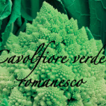 cavolfiore verde romanesco