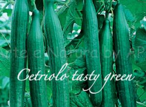 cetriolo tasty green