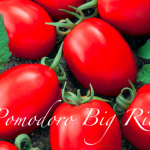 pomodoro Big Rio.png