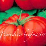 pomodoro beefmaster.png