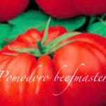 pomodoro beefmaster